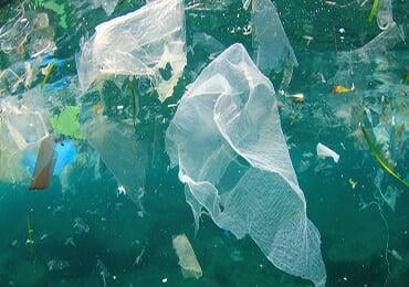 Experts suggest the development of biodegradable plastic industry to deal with the "new pollution"